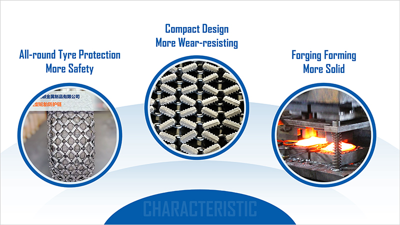 保護(hù)鏈產(chǎn)品特點(diǎn)-英文.jpg 保護(hù)鏈產(chǎn)品特點(diǎn)-英文.jpg